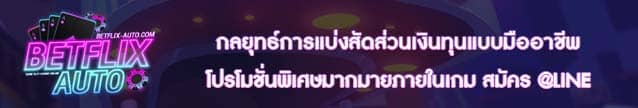 กลยุทธ์การแบ่งสัดส่วนเงินทุนแบบมืออาชีพ