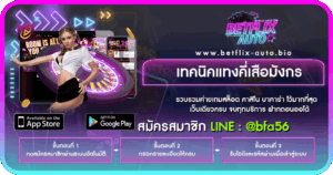 เทคนิคแทงคี่เสือมังกร ปกเรื่อง